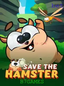 Descubra o Mundo Divertido de SavetheHamster